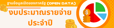 4งบประมาณรายจ่าย ประจำปี